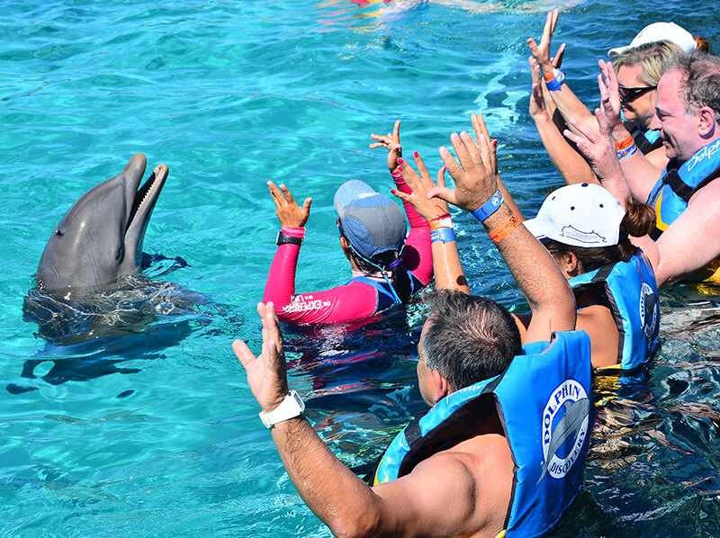 Swim With Dolphins In Isla Mujeres Dolphin Discovery