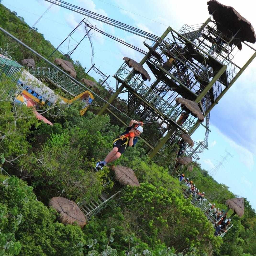 Selvatica