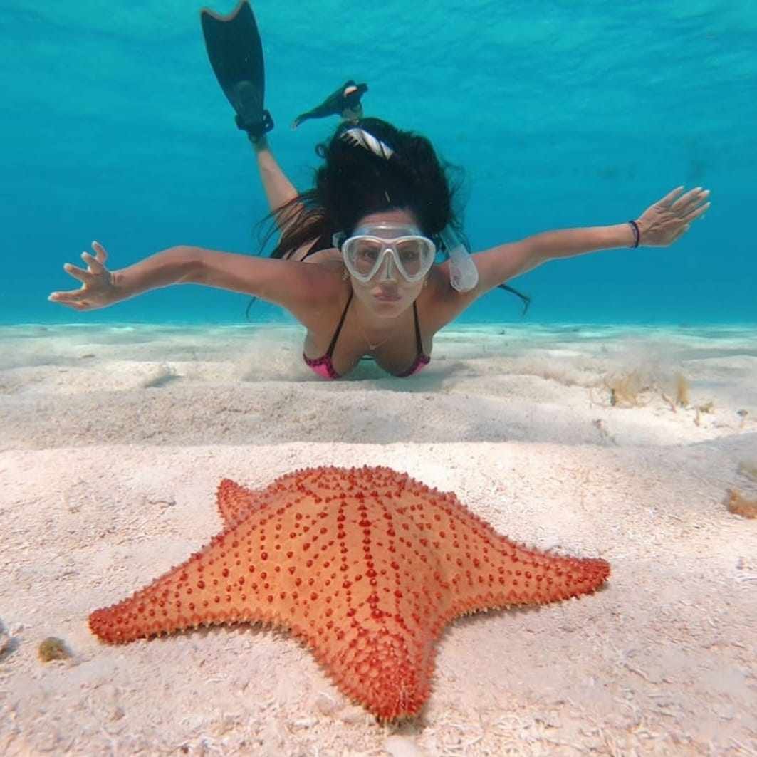 Clear Boat Tour+ Heaven Cozumel St