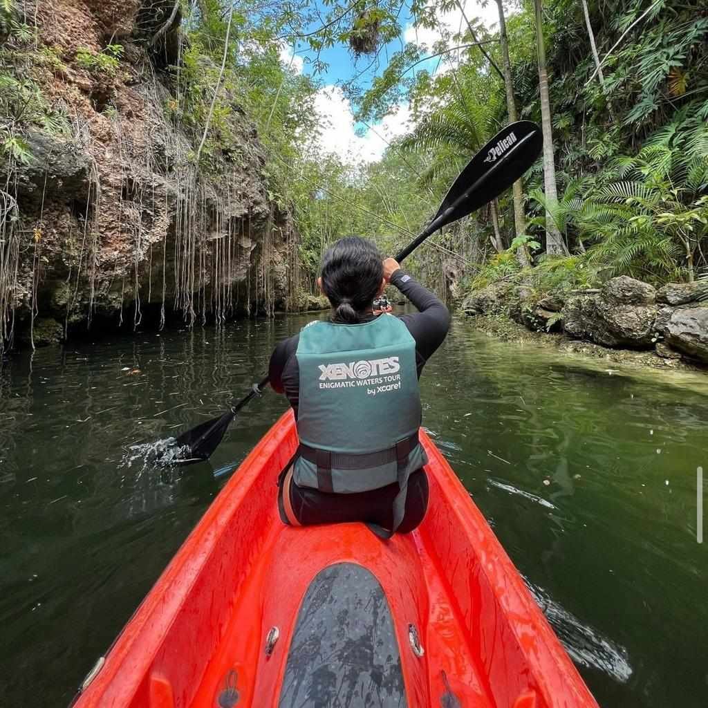 Tour Xenotes Oasis Maya