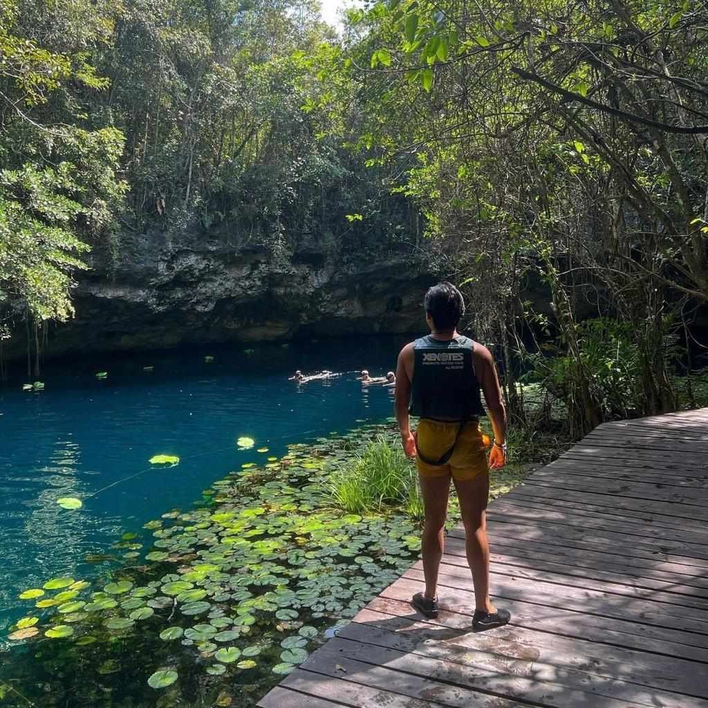 Tour Xenotes Oasis Maya