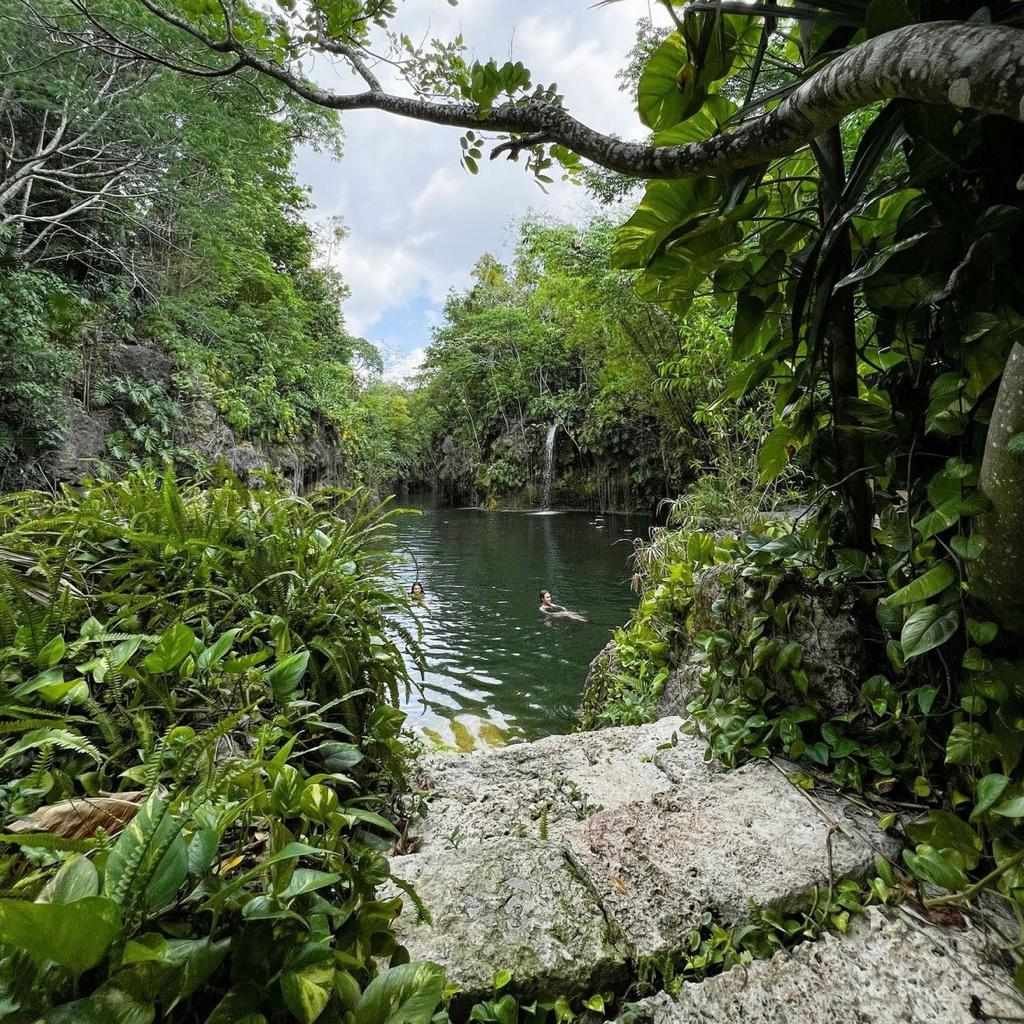 Tour Xenotes Oasis Maya